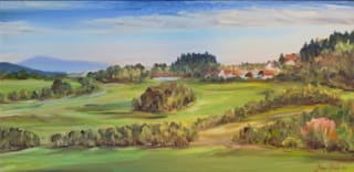 Zálesí od Kváskovic