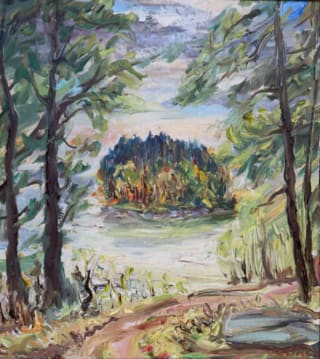 Ostrov na Velké Kuši