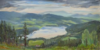 Nýrská přehrada od Prenetu