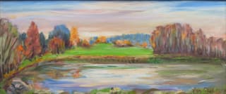 Rybník Pustý u Střelských Hoštic