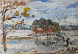 Ostrov na Velké Kuši